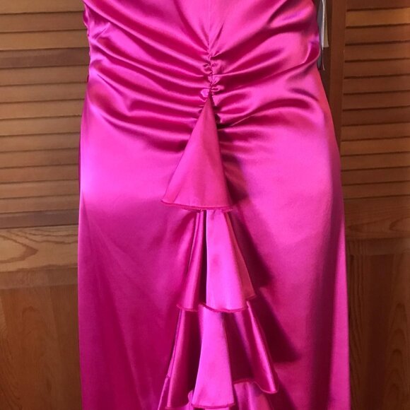 Jessica McClintock Vintage Victorian Lolita Fuchsia Ruffle Train Evening Gown L - Picture 6 of 8